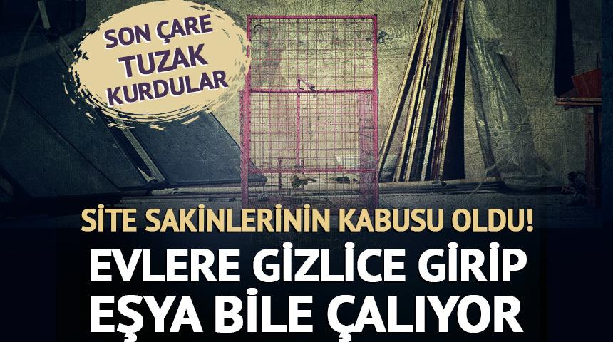 Site sakinlerinin kabusu oldu! Eşya bile çalıyor...