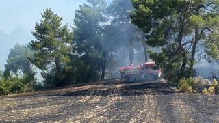 Antalya'da ormanlık alanda çıkan yangın kontrol altına alındı