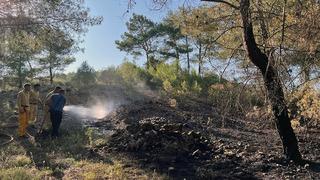 Menteşe yangını büyümeden söndürüldü