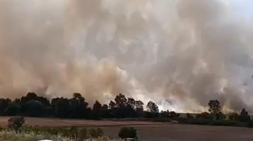 Tekirdağ’da 100 dönüm tarım arazisi yandı