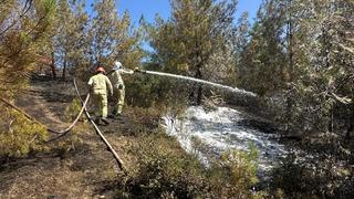 Adana'daki orman yangını kontrol altına alındı