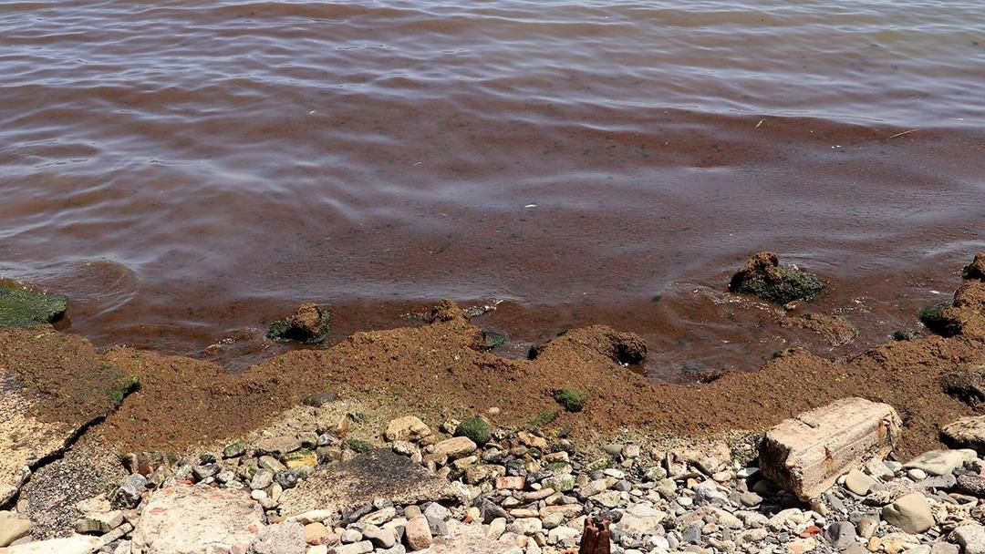 Sahil kırmızıya boyandı! Sebebi sonradan ortaya çıktı! Tedirgin eden görüntü... 1
