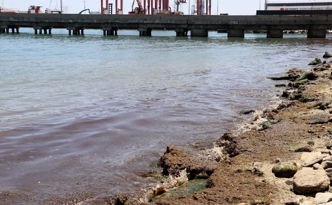 Sahil kırmızıya boyandı! Sebebi sonradan ortaya çıktı! Tedirgin eden görüntü... 2