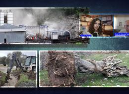 Maden şirketleri bastırıyor, profesör parayla rapor veriyor vatandaş zeytinlik isyanında! “3 bin yıllık zeytin ağacı bile taşınır”