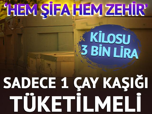 'Hem şifa hem zehir' Kilosu 3 bin TL