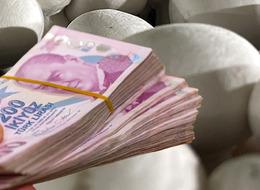 Düşük faizli kredi de var! Üretimi hızla artıyor, milyonlarca dolar...