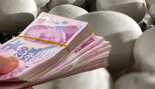 Düşük faizli kredi de var! Üretimi hızla artıyor, milyonlarca dolar...