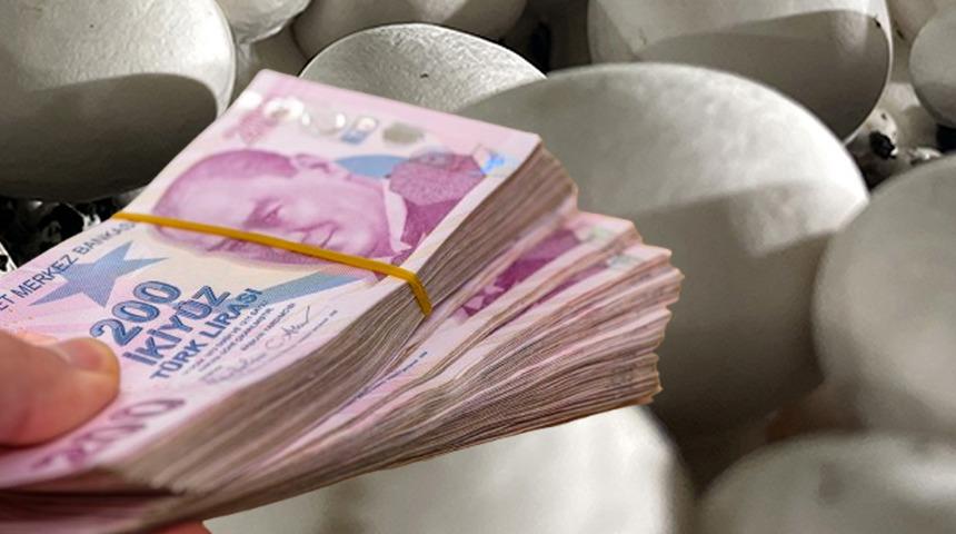 Düşük faizli kredi de var! Üretimi hızla artıyor, milyonlarca dolar...