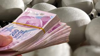 Düşük faizli kredi de var! Üretimi hızla artıyor, milyonlarca dolar...