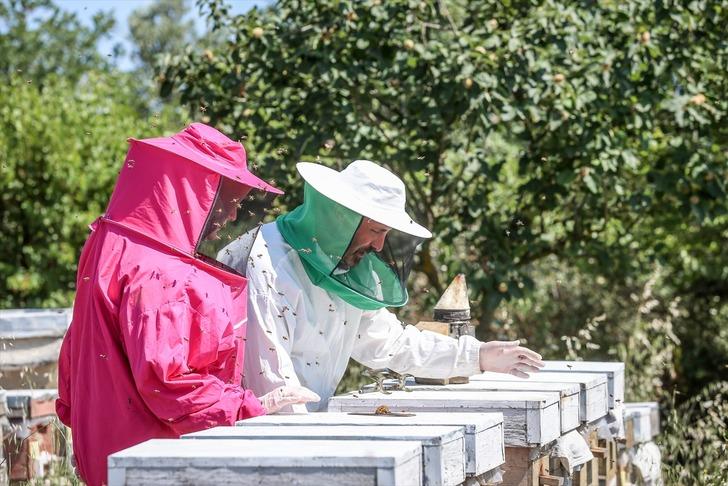 Fabrikadaki işini bırakıp o mesleğe atıldı... Kilo başına 45 bin TL kazanıyor! Bir kaşığı bile çok değerli: Ömür uzatıyor G1
