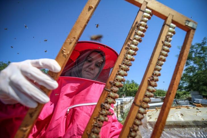 Fabrikadaki işini bırakıp o mesleğe atıldı... Kilo başına 45 bin TL kazanıyor! Bir kaşığı bile çok değerli: Ömür uzatıyor G2