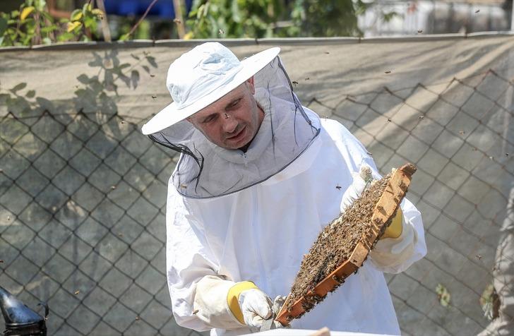 Fabrikadaki işini bırakıp o mesleğe atıldı... Kilo başına 45 bin TL kazanıyor! Bir kaşığı bile çok değerli: Ömür uzatıyor G3
