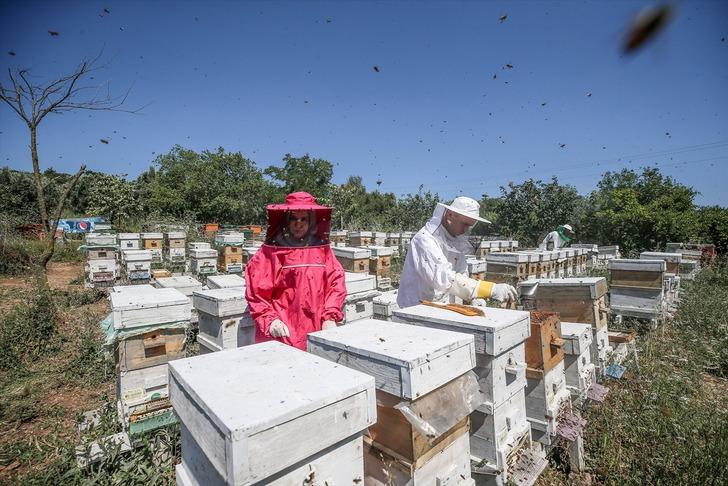 Fabrikadaki işini bırakıp o mesleğe atıldı... Kilo başına 45 bin TL kazanıyor! Bir kaşığı bile çok değerli: Ömür uzatıyor G4