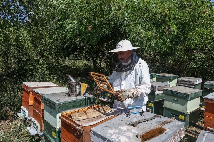 Fabrikadaki işini bırakıp o mesleğe atıldı... Kilo başına 45 bin TL kazanıyor! Bir kaşığı bile çok değerli: Ömür uzatıyor G5