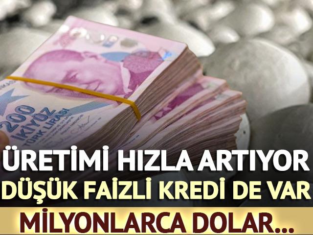 Düşük faizli kredi de var! Üretimi hızla artıyor, milyonlarca dolar...