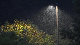 Günlük elektrik üretim ve tüketim verileri