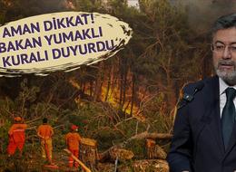 Havalar ısındı, tehlike arttı! Bakan Yumaklı “Yeşil Vatan İçin” diyerek duyurdu, bunları asla yapmayın