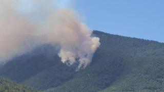 Hatay’da orman yangını