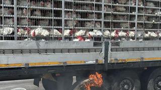 Canlı tavuk dolu tırda yangın paniği