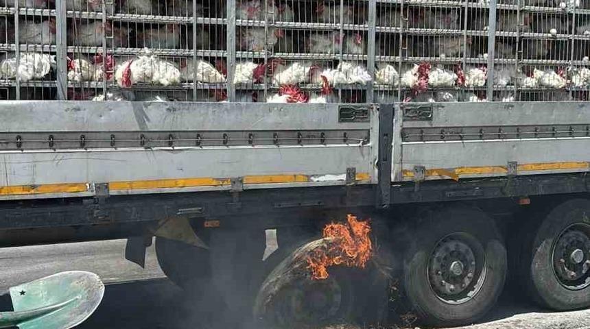 Canlı tavuk dolu tırda yangın paniği
