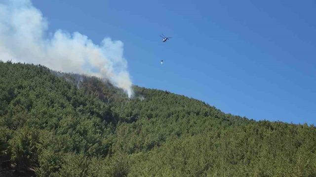Hatay’da orman yangını havadan müdahaleyle kontrol altına alındı