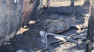 Tekirdağ’daki yangında ağıla sıçrayan alevlerde 35 hayvan telef oldu