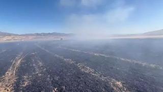 Elazığ’da ekili 60 dönüm arpa yandı