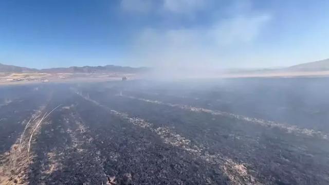 Elazığ’da ekili 60 dönüm arpa yandı