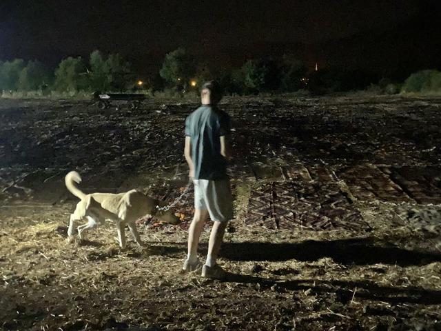 Tarlada milyonlar yatıyor! Nöbet tutuyorlar