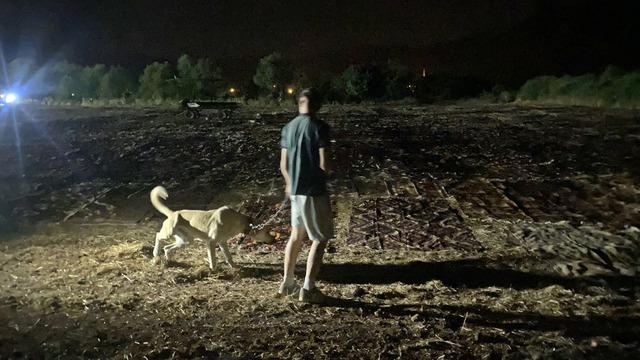 Tarlada milyonlar yatıyor! Nöbet tutuyorlar 'Değerli olduğu için bize emanet'