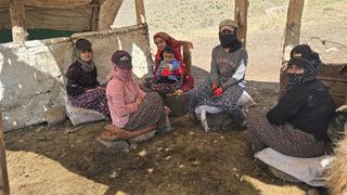 Her yaz kiralayıp o işi yapıyorlar! Geçimlerini böyle sağlıyorlar