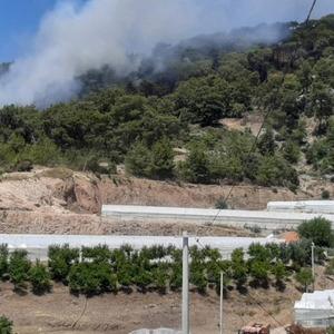 Antalya'da orman yangını