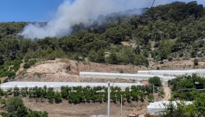 20452517-700x400 Antalya'da orman yangını
