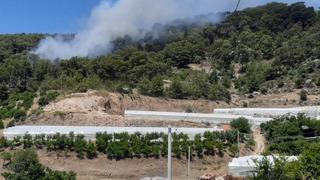 Antalya'da orman yangını