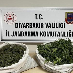 Diyarbakır'da 8 kilo esrar ele geçirildi