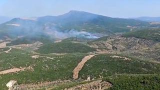 İzmir Torbalı’da orman yangınına müdahale sürüyor