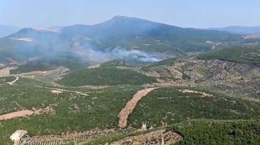 İzmir Torbalı’da orman yangınına müdahale sürüyor