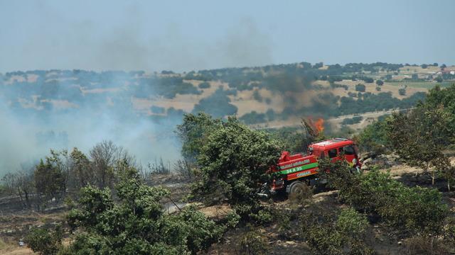 Kırklareli'nde yangın! Ceviz bahçesinde çıktı, ağaçlık alana sıçradı