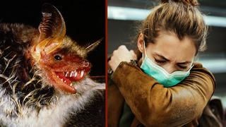 Yeni salgın tehlikesi mi? Yarasalarda 20 yeni virüs tespit edildi! Ölümcül tehlikesi var...