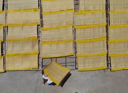 Kilosu 250 TL! Avrupalı yemeden duramıyor... Talep çok, yurt dışına satıyorlar