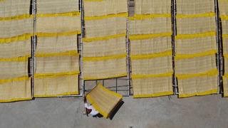 Kilosu 250 TL! Avrupalı yemeden duramıyor... Talep çok, yurt dışına satıyorlar