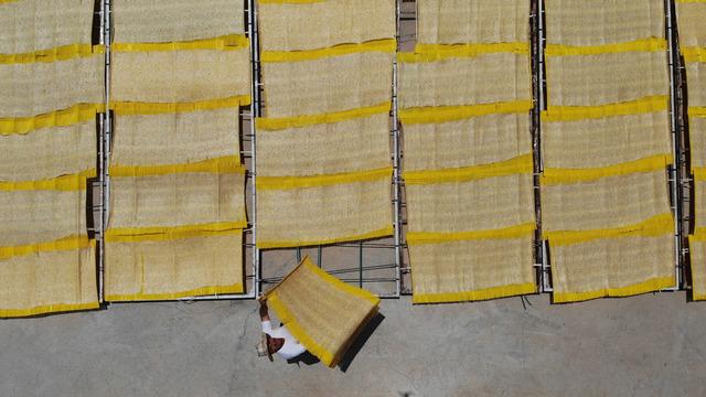 Kilosu 250 TL! Avrupalı yemeden duramıyor... Talep çok, yurt dışına satıyorlar