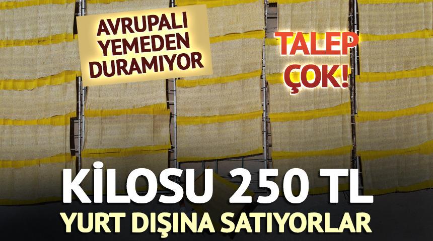 Kilosu 250 TL! Avrupalı yemeden duramıyor, talep çok, yurt dışına satıyorlar