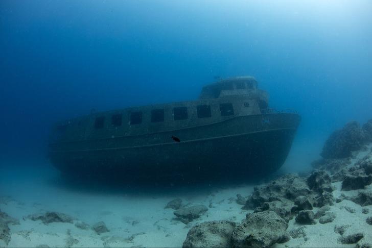 İlk defa bu kadar net görüntülendi! Denizin altındakileri görmek için sıraya giriyorlar... G5