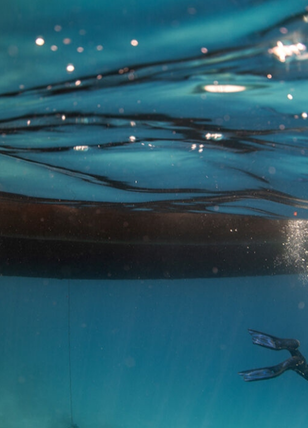 İlk defa bu kadar net görüntülendi! Denizin altındakileri görmek için sıraya giriyorlar...