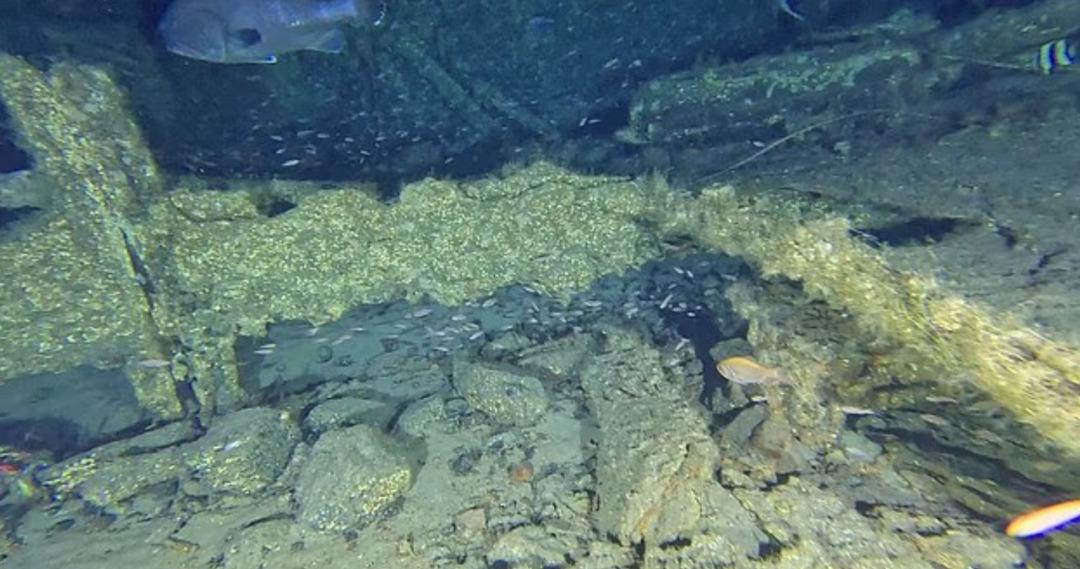 120 yıl önce kaybolmuştu! Okyanusun dibinde keşfedildi! İlk kez görüldü 2