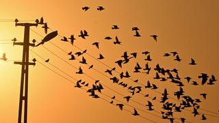 Günlük elektrik üretim ve tüketim verileri