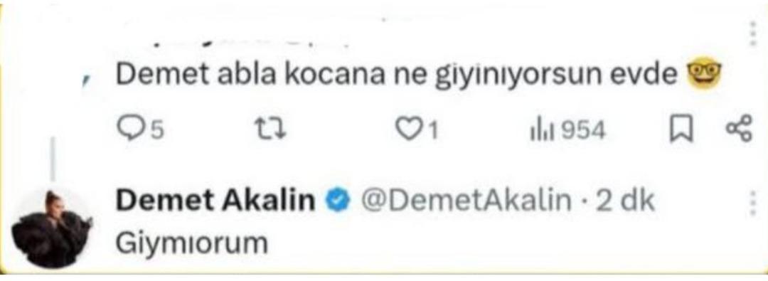 DEMET YANIT DEMET YANIT
