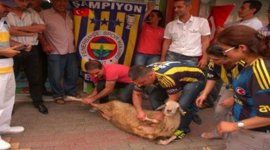 Kocaman istifa etti diye kurban kestiler!