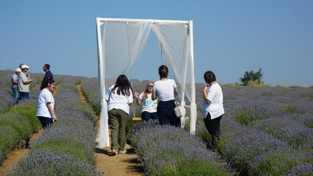 Tekirdağ'da yaşlılar için lavanta bahçesinde etkinlik düzenlendi